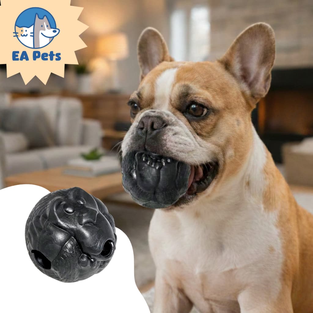 Bolinha Porta Petisco Da Pet Games Macaquinho Brinquedo Resistente Aroma de Banana Cães Porte Médio