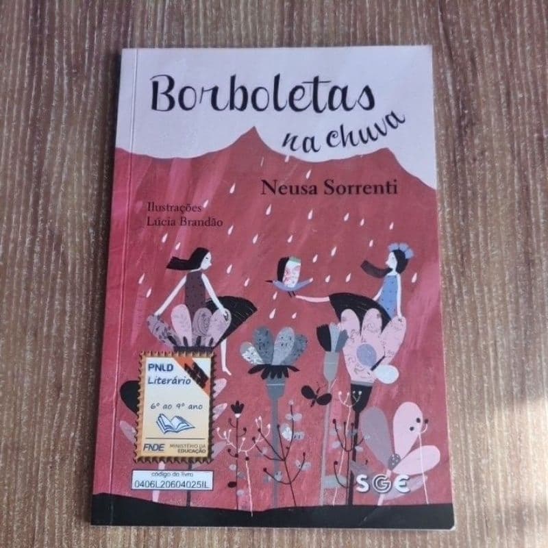 livro borboletas na chuva