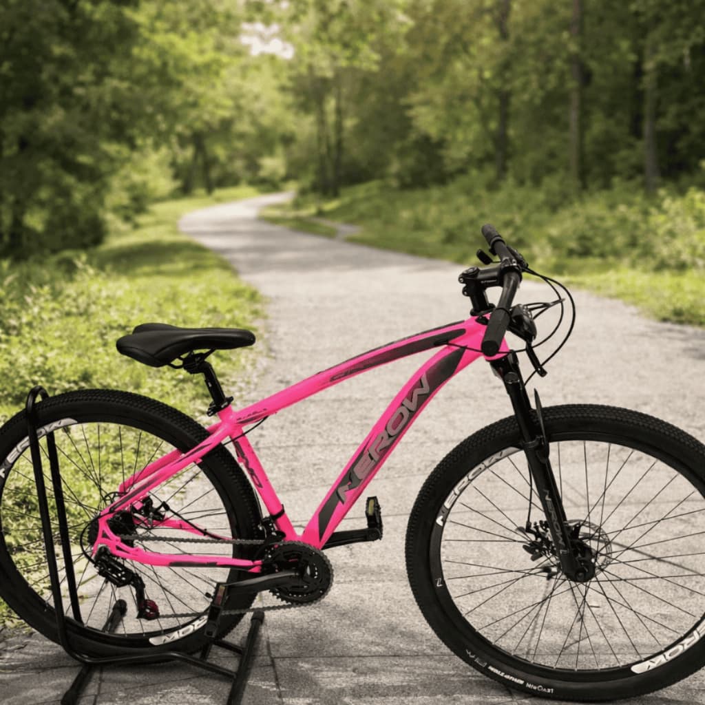 Bicicleta Aro 29 Com Cubos de Rolamento, 21 velocidades, pedivela em alumínio,