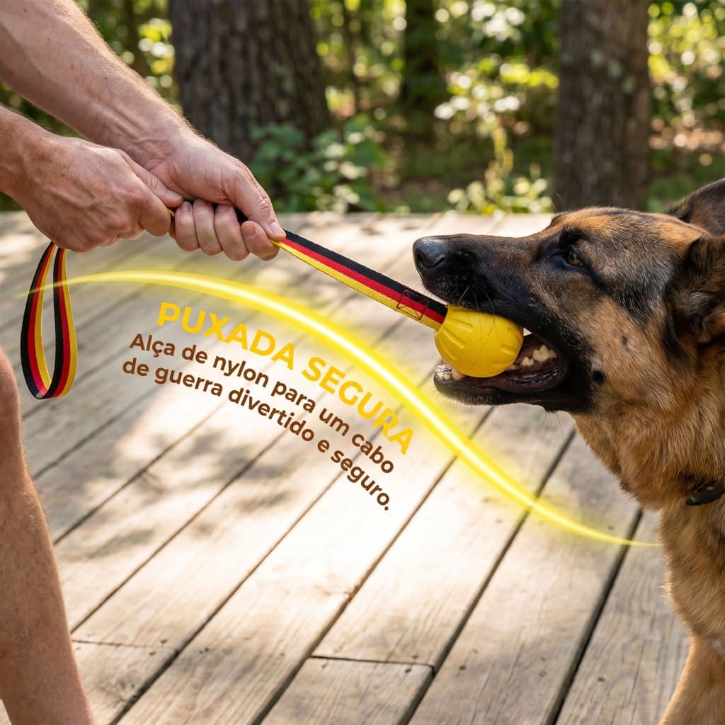 Bola de Treinamento Maciça com Alça de Nylon para Cães de Médio e Grande Porte