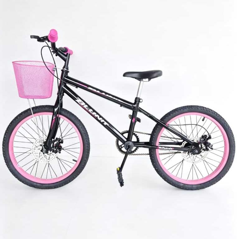 Bicicleta Infantil Feminina Aro 20 BLUNIT com Cesta Freio a Disco para Meninas de 6 a 10 Anos Bike