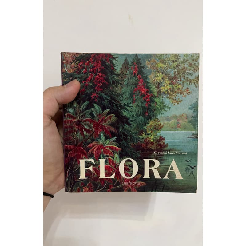 🌸 Flora II - Giovanni Saint-Mazzini (Idioma: Italiano) - Usado ✨