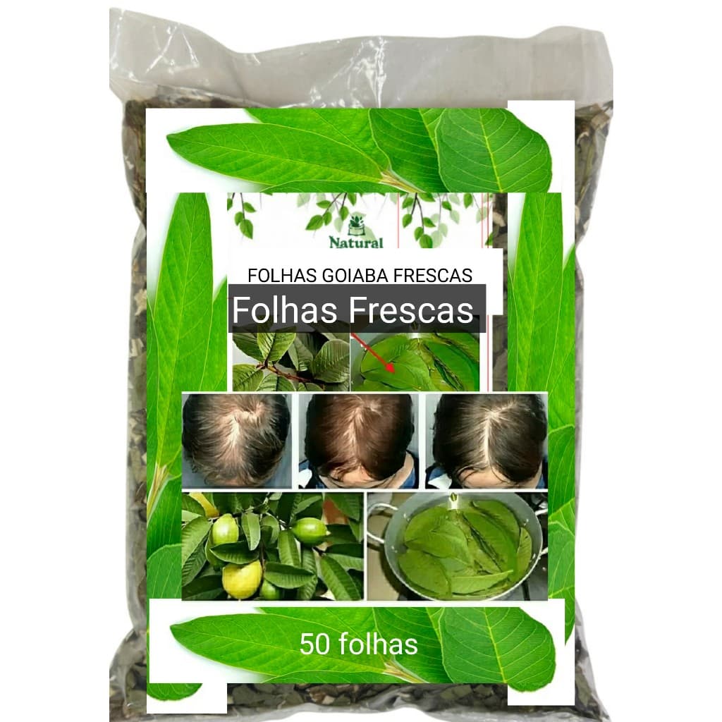 40 FOLHAS FRESCAS GOIABA  para chá tratamento capilar tônico banhos receita OFERTA