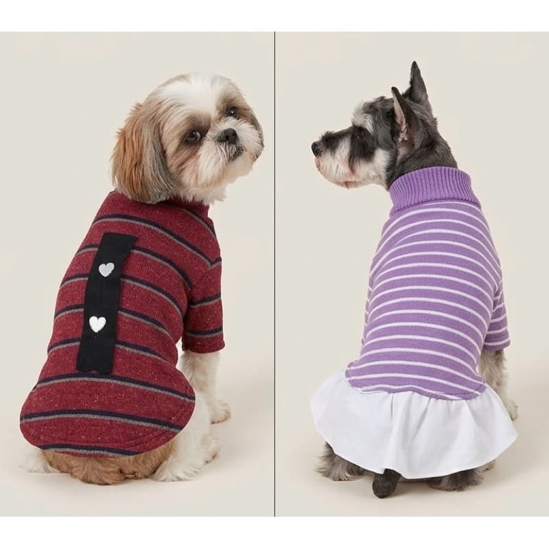 Roupa Pet SORTIDA Roupinha De Cachorro Inverno Quentinha Tricot