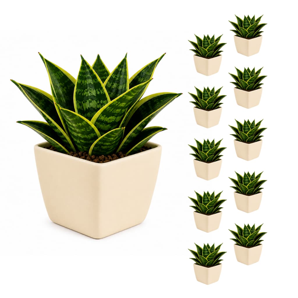Kit 10 Vaso Quadrado Bege 750ml Plastico para Plantas Flores Suculentas Decoracao