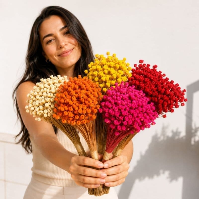 600 Galhos de Jazida Sempre Viva Decorativa, Flor seca eterna para Vasos, Convites e artesanato Mini Florzinhas