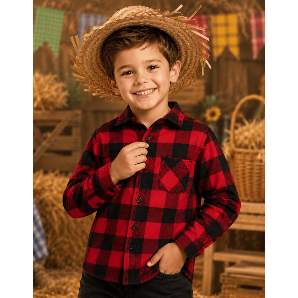 Camisa Xadrez Infantil Festa Junina Arraiá Menino Tradicional
