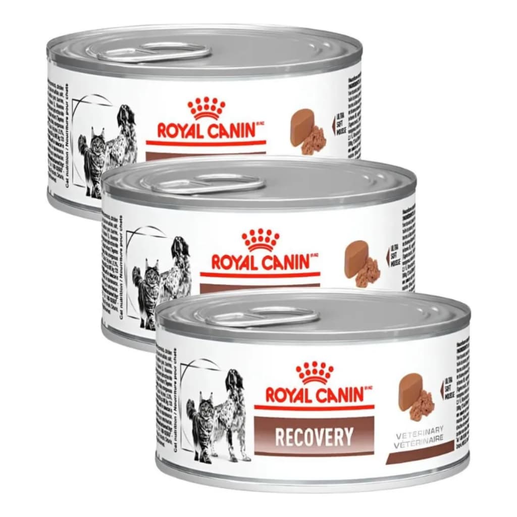 Kit 3 Ração Úmida Royal Canin Recovery Cães Gatos 195g
