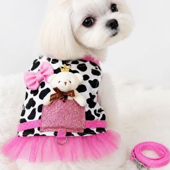 Coleira peitoral fofo gato cachorro coelho