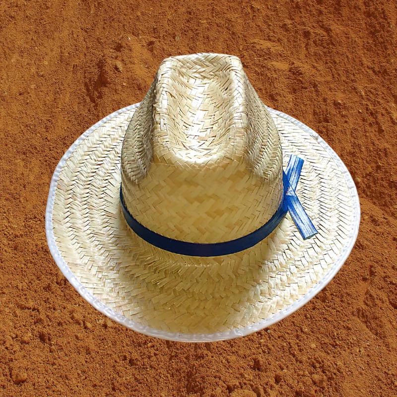 Chapéu modelo Texano palha grossa country aba 10 cm