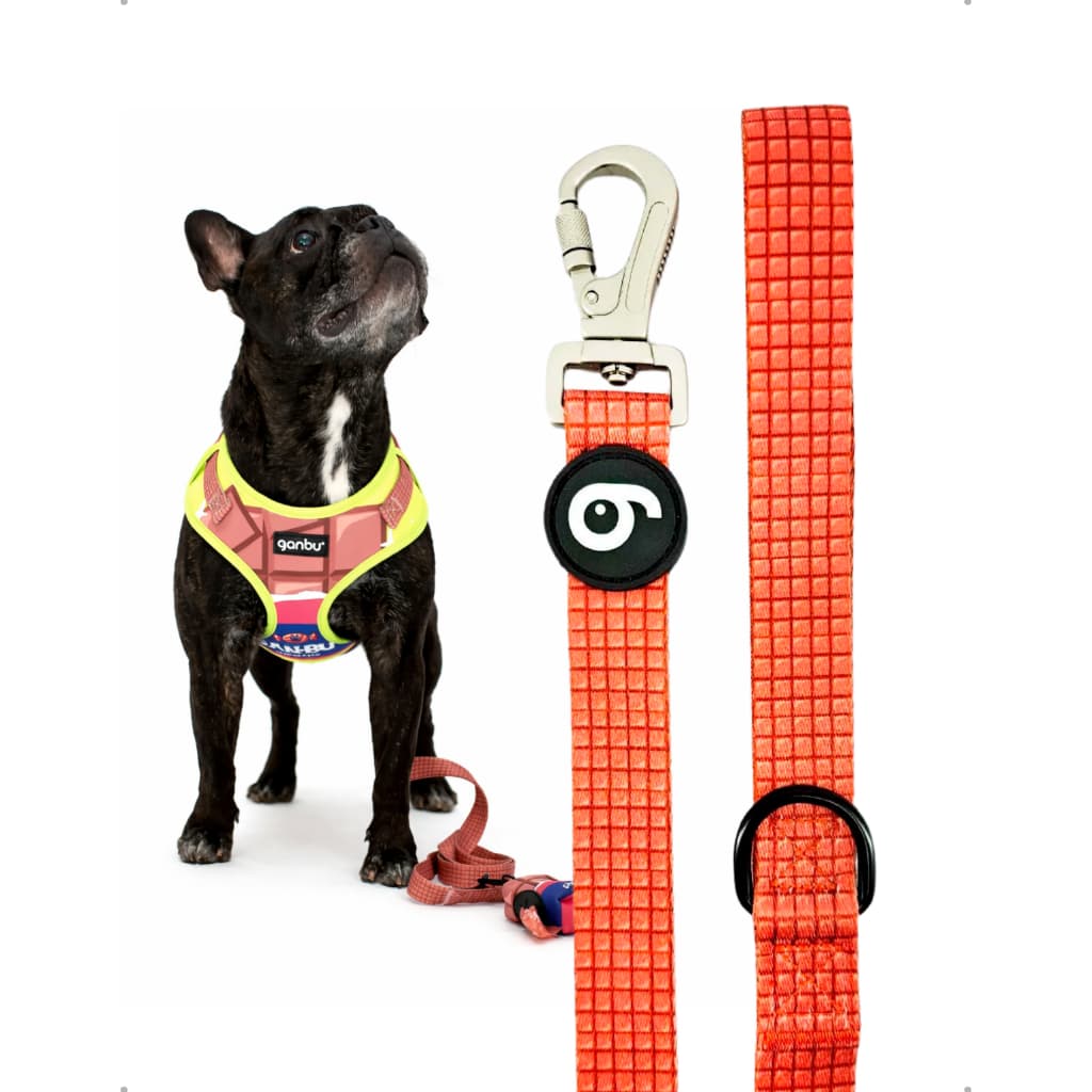 Guia Pet Candy Chocolate Ganbu – Passeios Confortáveis e seguros, Resistência e Estilo Para Cães