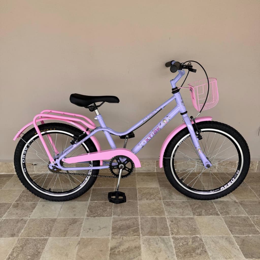 Bicicleta Infantil Aro 20 Feminina Flora XTBK com Cestinha e Bagageiro para Crianças de  6 a 10 anos Lilás com Rosa