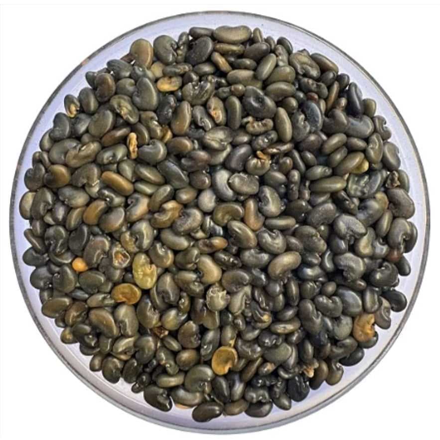 Sementes Crotalaria Juncea pacote 1kg