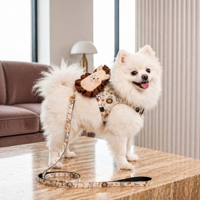 Peitoral Guia Coleira Cachorro Pet com Mochilinha Leão Pelúcia Luxo M Bonito pra Cachorro