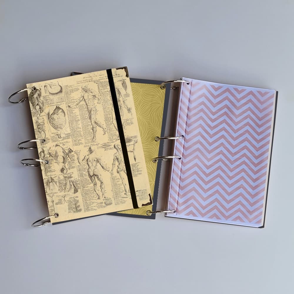 Caderno Argolado Anatomia (Capa e Argolas) Universitário Colegial A5 Fichário