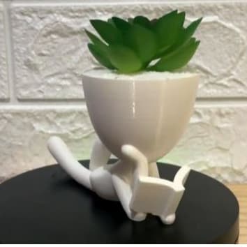 Vaso estilo Robert/Minimalista/Moderno/Planta/Suculentas/Charmoso