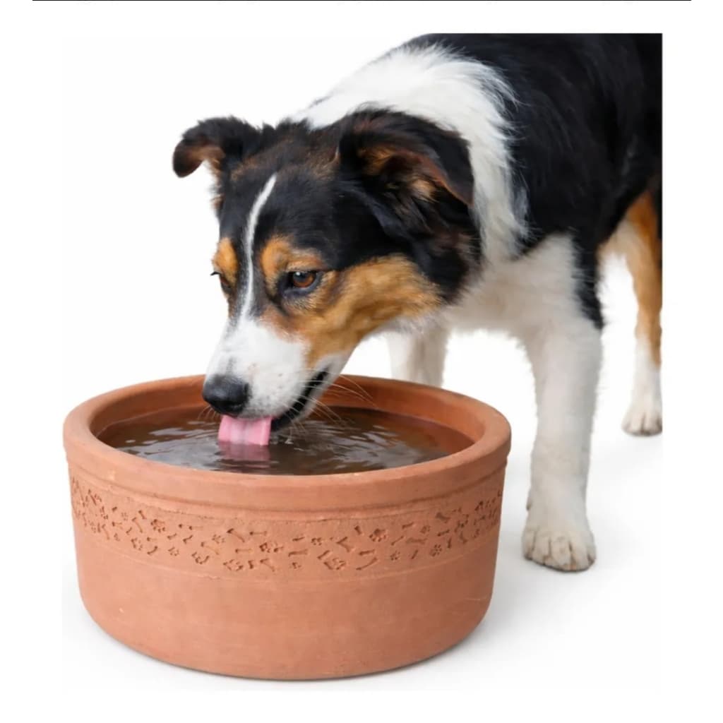 Bebedouro Comedouro de Barro para Cães e Gatos Pet Água Fresca Natural.