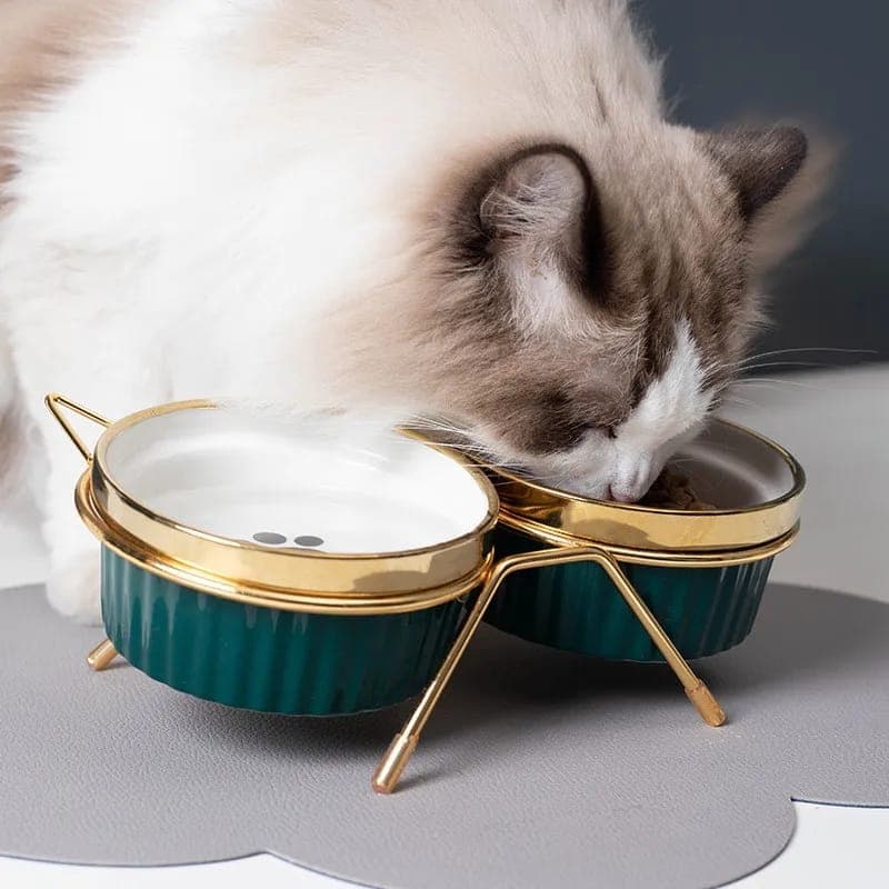 Comedouro Bebedouro Duplo Elevado Cerâmica Gatos Pet Persa