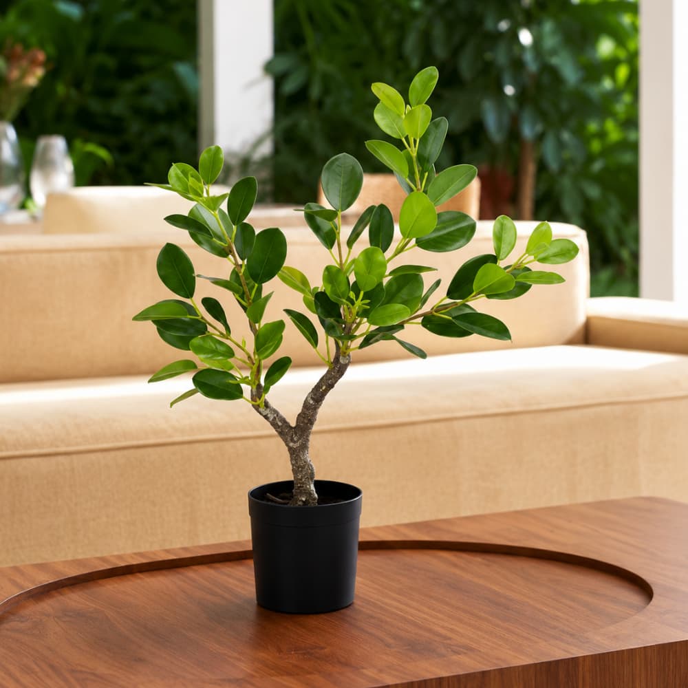 Planta Ficus Artificial Toque Real Decorativa 50cm Shopsul