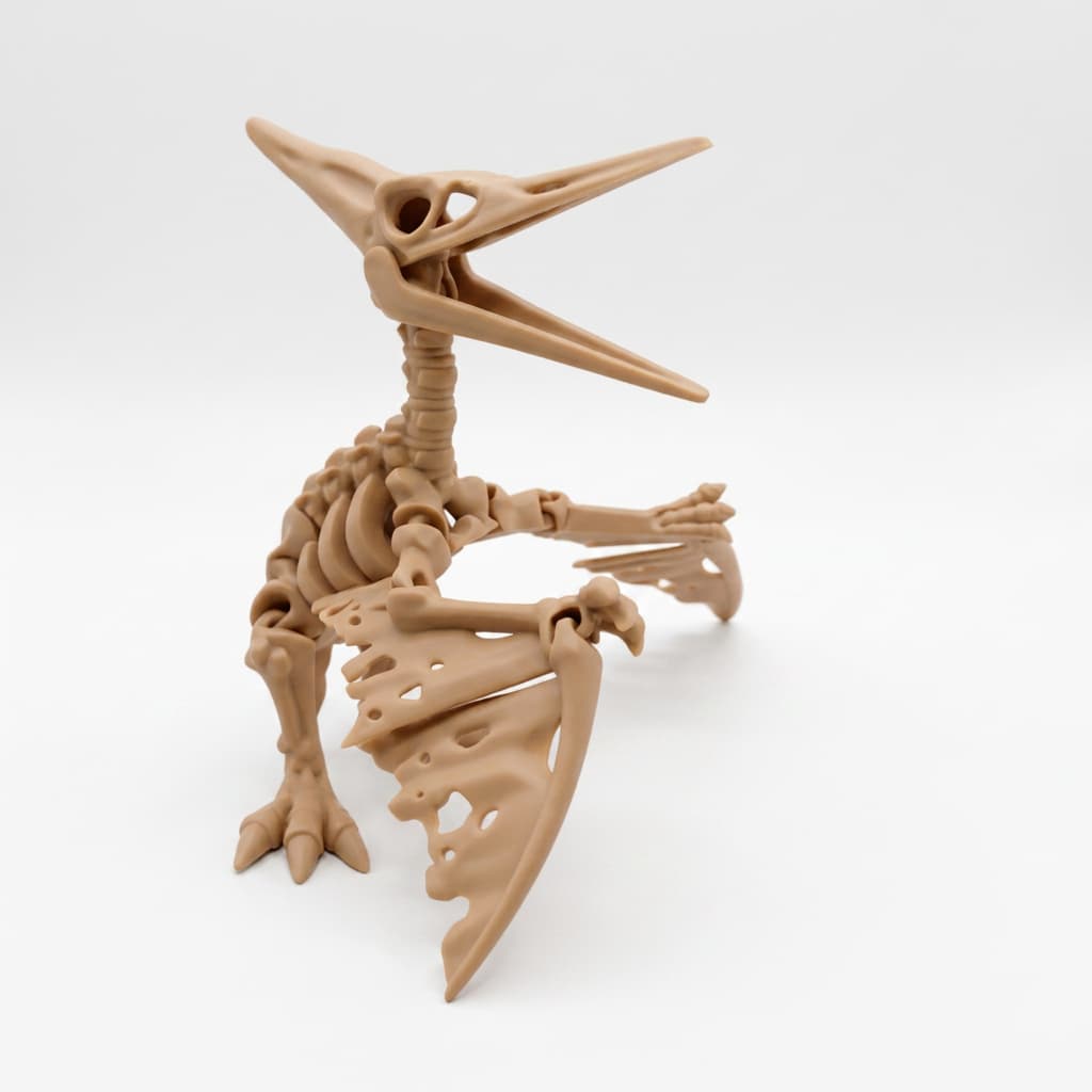 Pterodactilo Esqueleto Pterodon esqueleto de dinossauro articulado