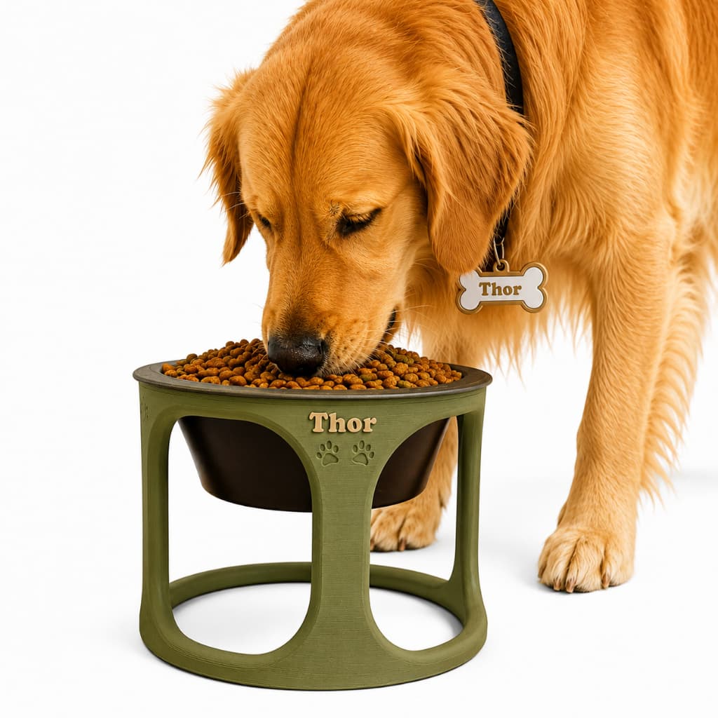 Comedouro Pet Elevado com Placa de identificação Personalizado para Cães e Gatos | Suporte Ergonômico