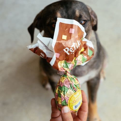 Ovo de Páscoa para Cães - 50g - Petiko | petisco para cachorro, snack para cães, petisco saboroso