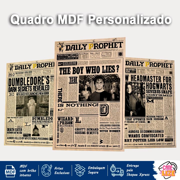 Quadro MDF A4  Harry Potter - Profeta Diário  | Decoração - Escritório - Quarto - Nerd - Hogwarts