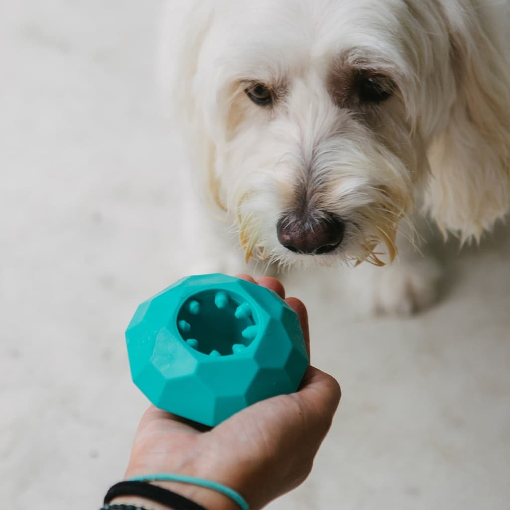 Dispenser de Petiscos Safira para Cachorros | Brinquedo Interativo com Aroma - Petiko