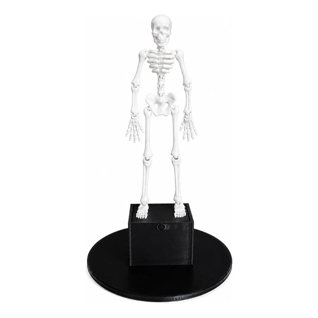 Enfeite Decoracao Aquario Caveira Que Danca