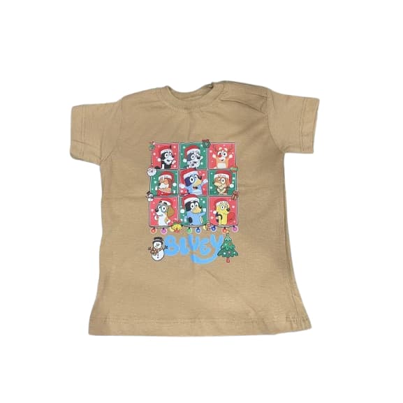 Camiseta Infantil Bluey e Bingo Tamanho 2