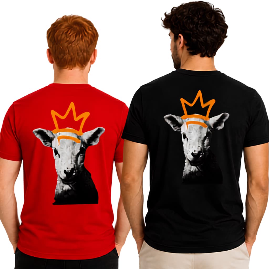Camiseta Unissex Cristã Religiosa Algodão Gospel Jesus Camisa Moda Evangélica Casual Premium Confortável