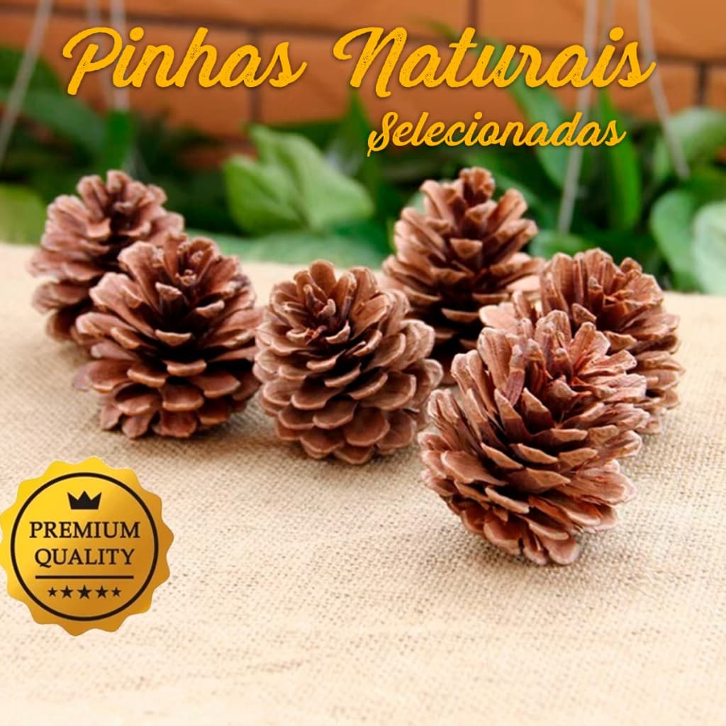 Kit 20 Pinhas Naturais para Decoração e Artesanato, Enfeites,Natal, Arranjos e Composições Criativas