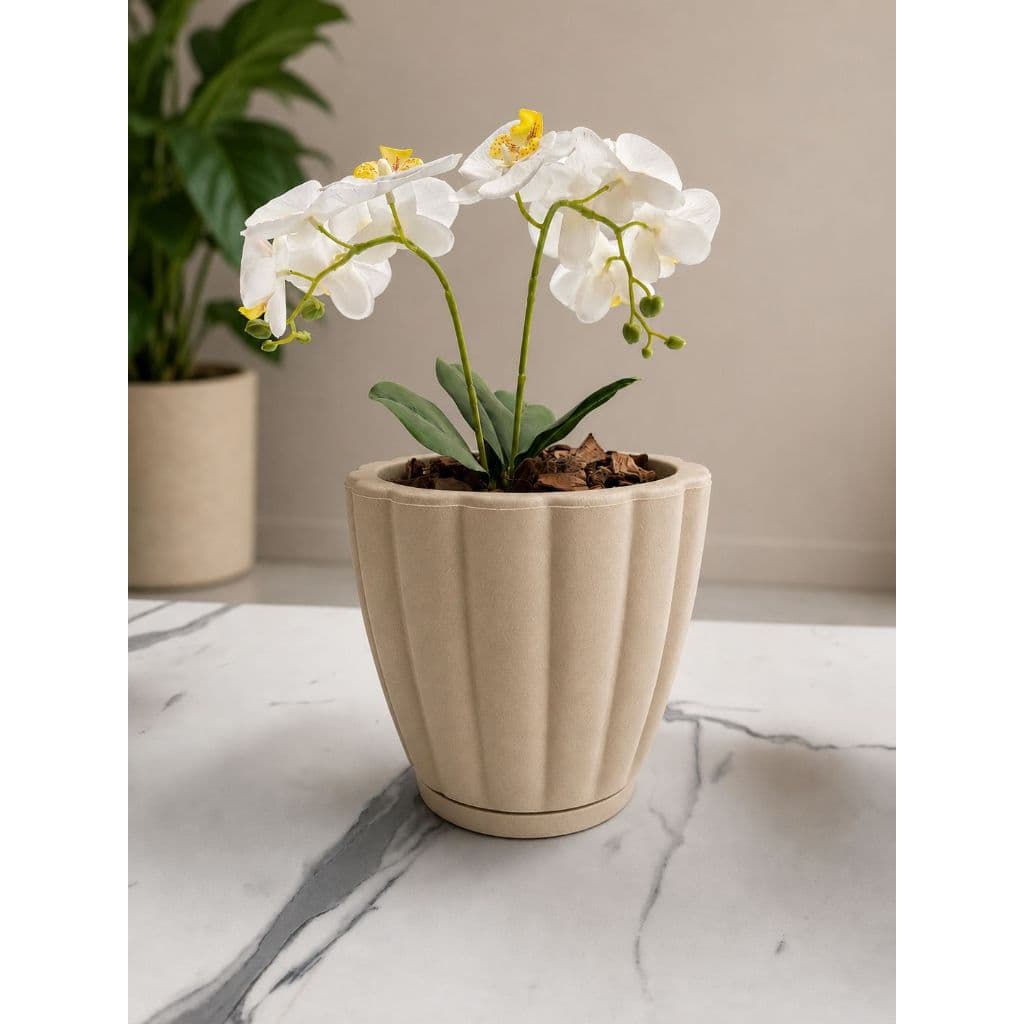 Vaso de Mesa Decorativo Pequeno com Prato Coletor para Orquídeas, Lírio da Paz e Plantas