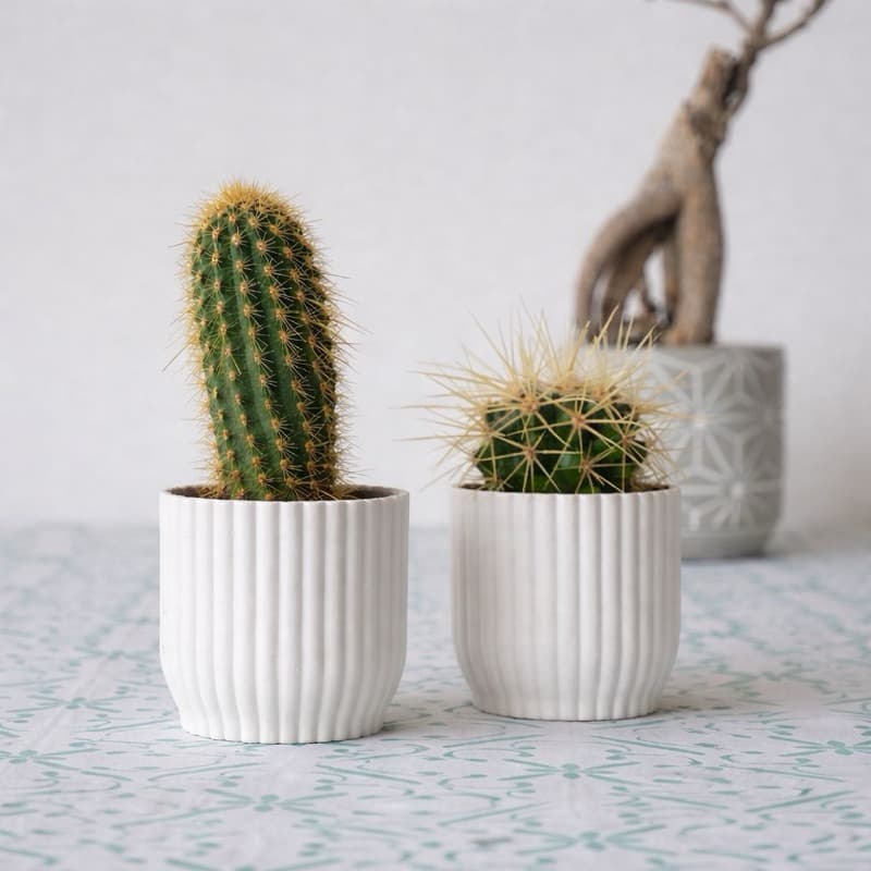 Vaso Decorativo para Plantas e Suculentas| Vaso Moderno Minimalista | Decoração Casa Sala Escritório | planta não inclui
