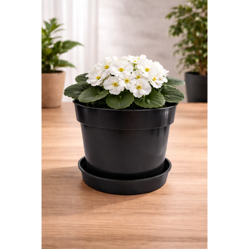 Kit 10 Vasos de Planta 2,3 Litros com Prato Para Plantas Cultivar Flores Jardim