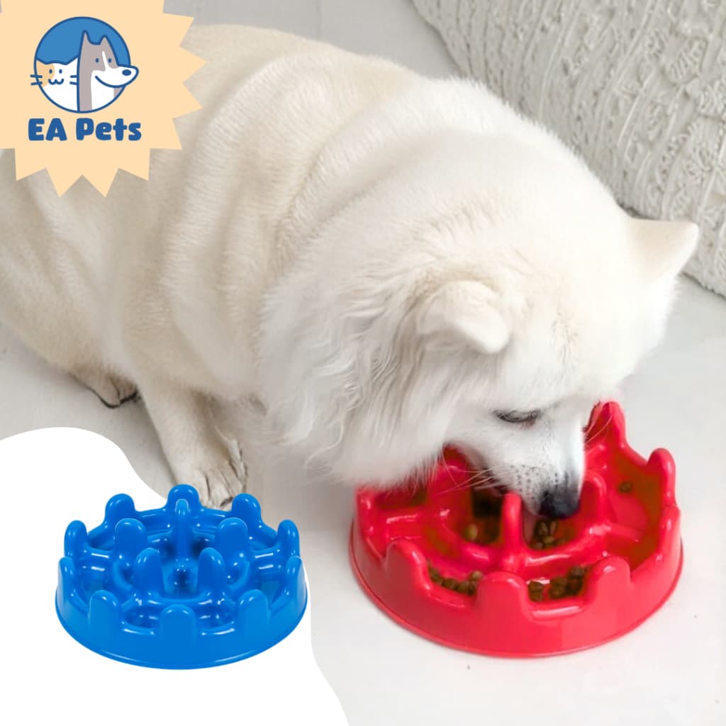 Comedouro Lento Da Pet Games Mini Pet Fit Para Cão Porte Pequeno Divertido Saudável Para Cachorro