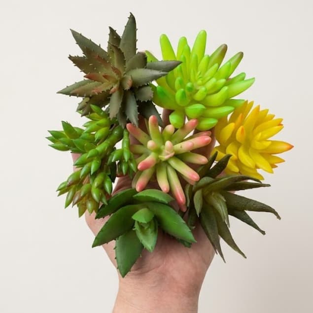 Suculentas Artificiais Sortidas Kit 5 Plantas Decorativas para Arranjos Decoração Lembrancinhas