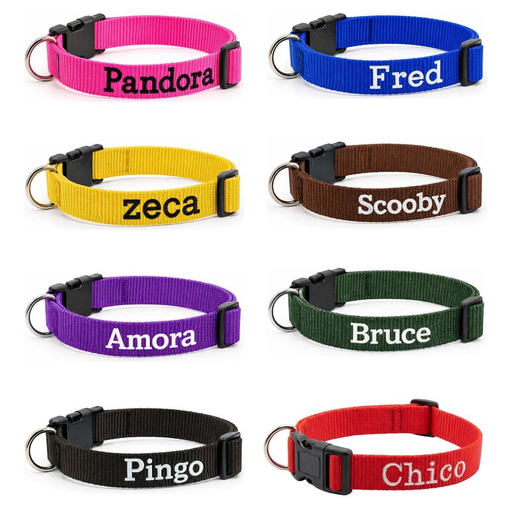 Coleira Cachorros Personalizada com Nome Fitas Sedosas Reguláveis PP a G Pet