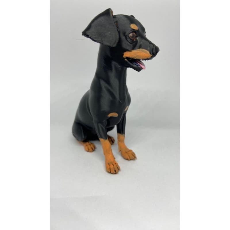 Chaveiro Pet Personalizado  do Seu Pet Presente Criativo