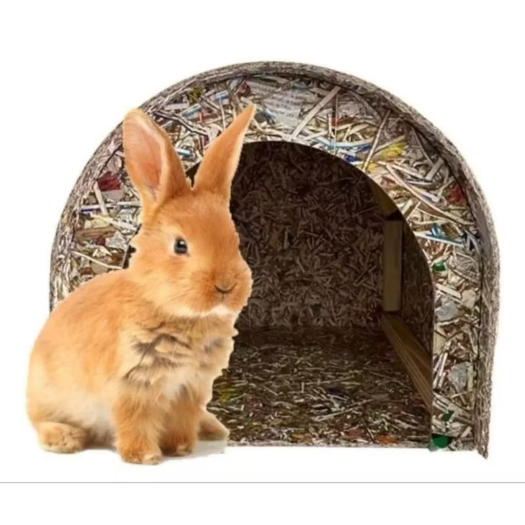 Toca Casinha Iglu Ecológica Pet Mini Coelho
