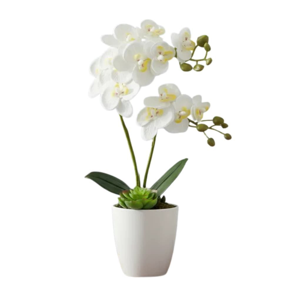 Arranjo de Orquídea no Vaso Branco
