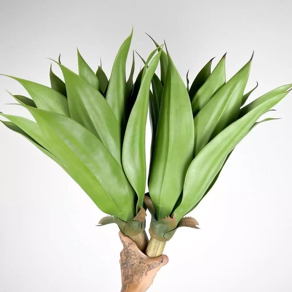 Árvore 48cm SEM VASO Folhagem Artificial Folhas Flores Artificiais Decoração Jardim Casa - LY803050