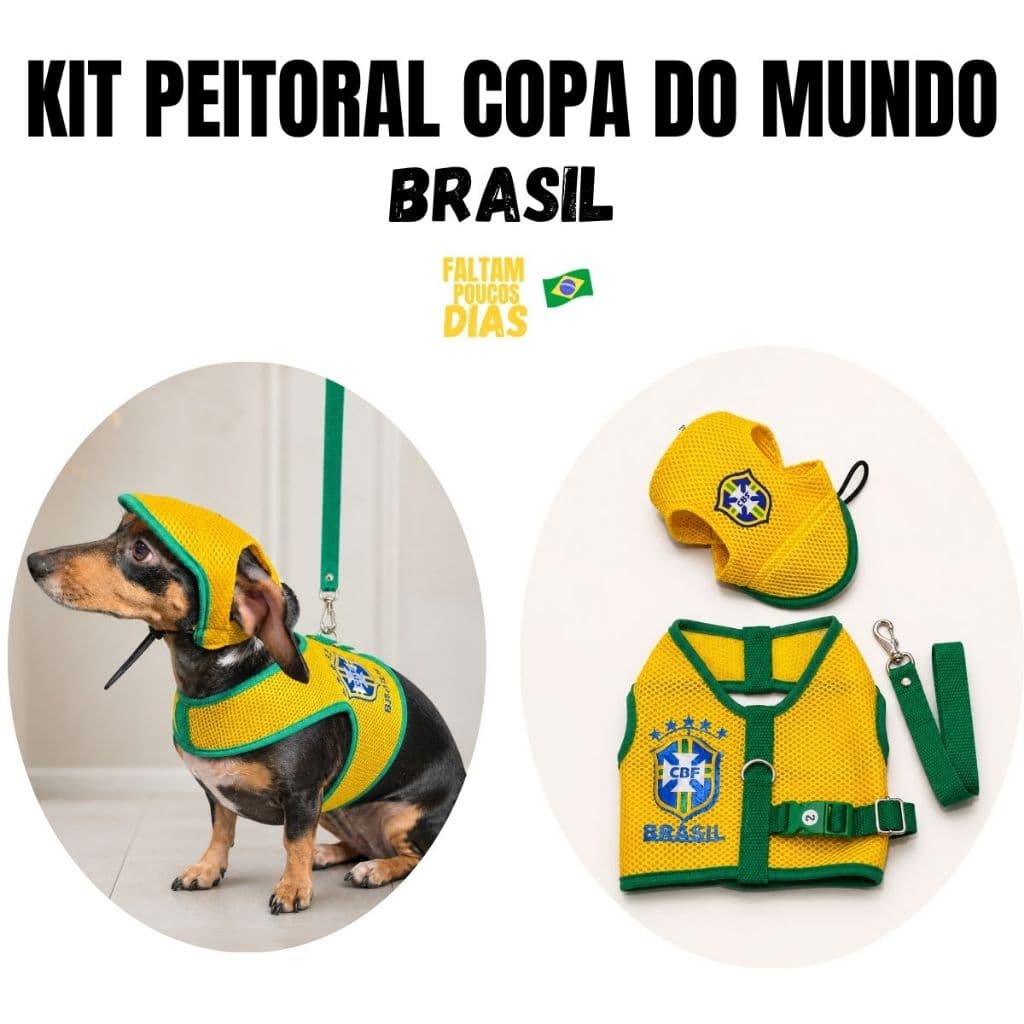 Kit Copa Brasil Coleira Peitoral e boné para cachorros Kit Amarelo para cachorros e gatos