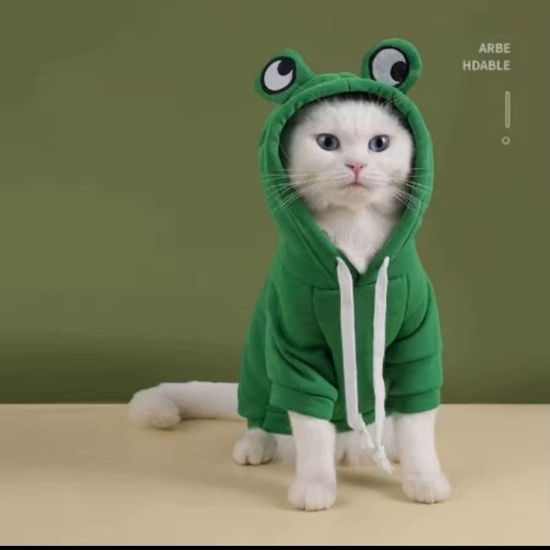 casaco com capuz fofo para gato/cachorro com design de sapo tamanho P.