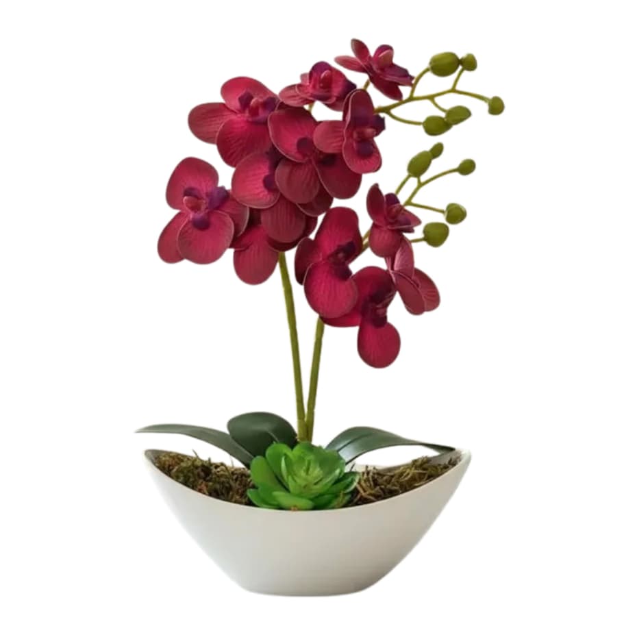 Planta Artificial Arranjo Orquidea Suculenta Luxo