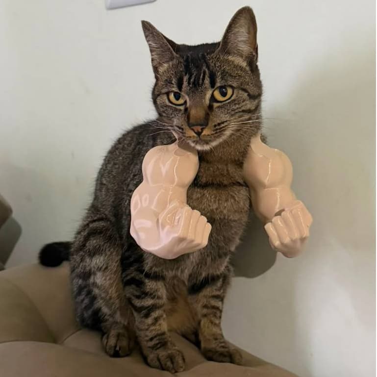 Braços Maromba de Hulk para Gato