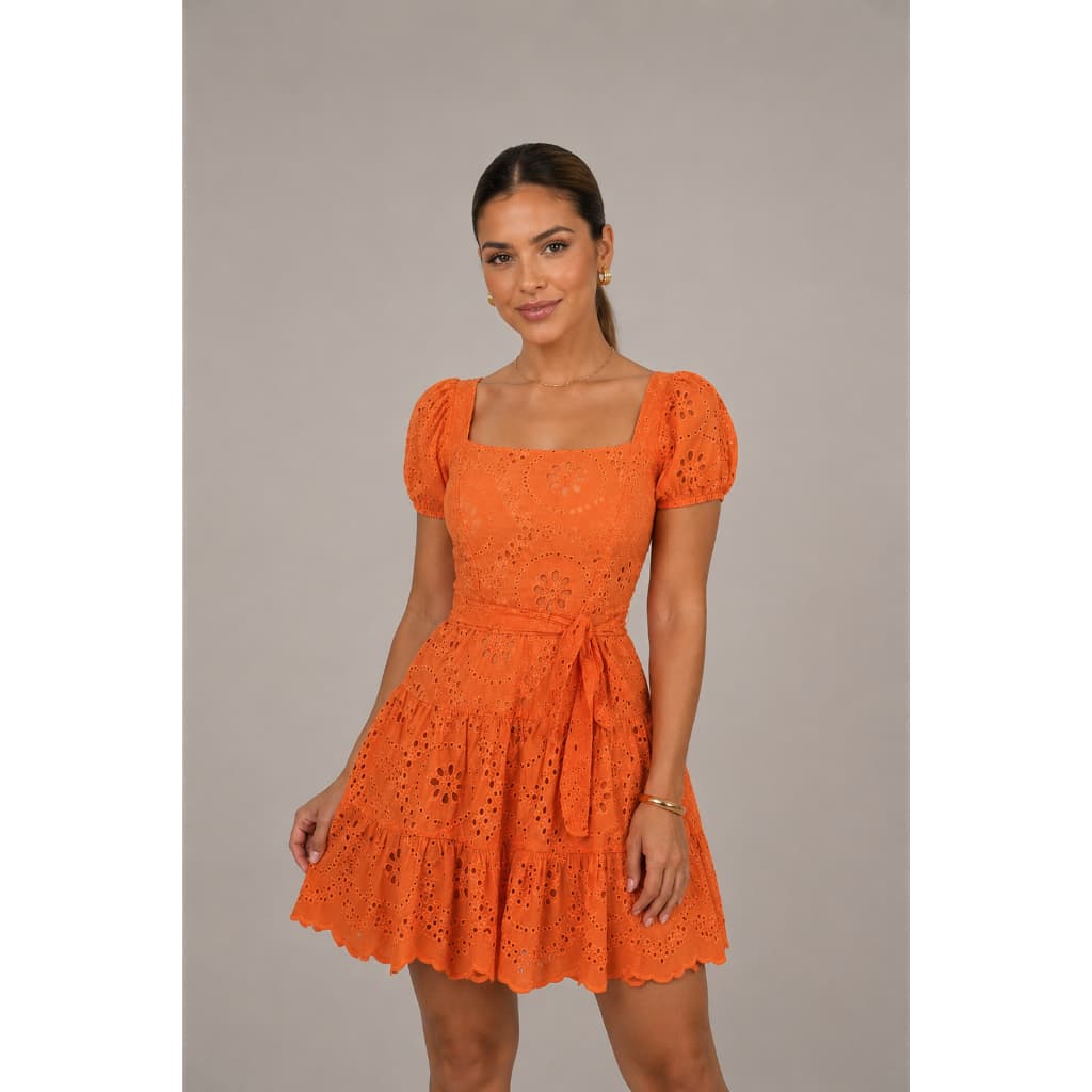 Vestido Feminino Manga Princesa com Faixa tecido laise100% algo– Rodado Bordado Elegante moda feminina e Verão Elegante
