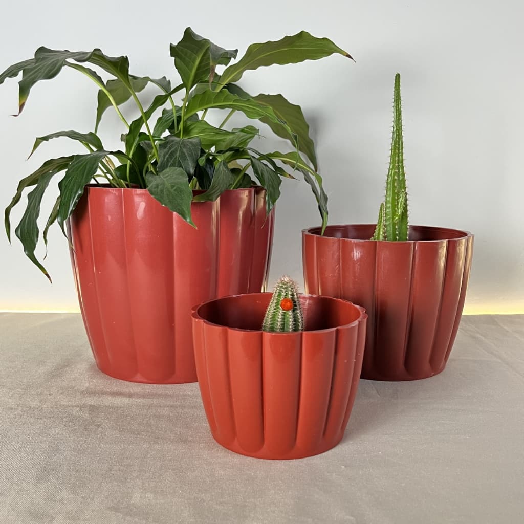 Kit 3 Vasos Moranga com Caixa Decorativo Cachepô ou Plantio Várias Cores Polipropileno Resistente