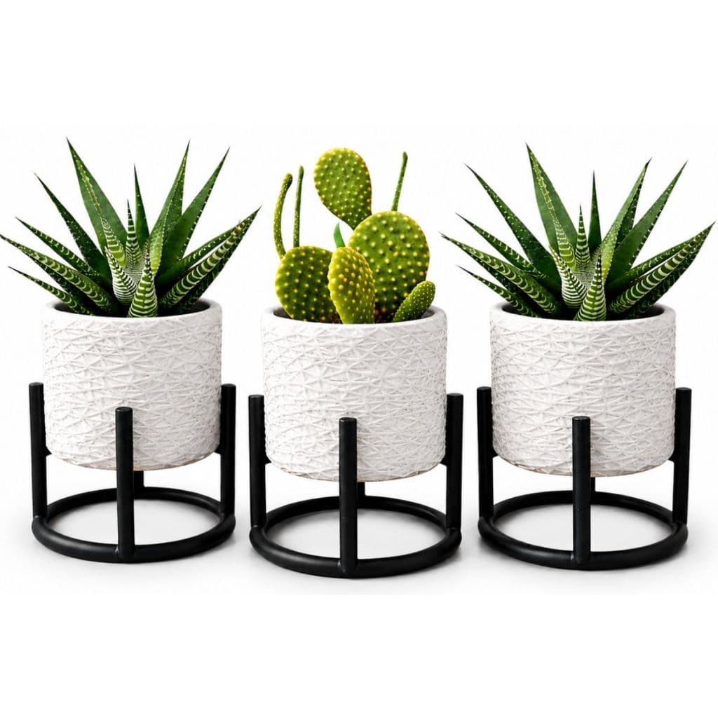 KIT 3 Vasos Cachepot Suspenso Moderno Para Suculentas Cactos Flores