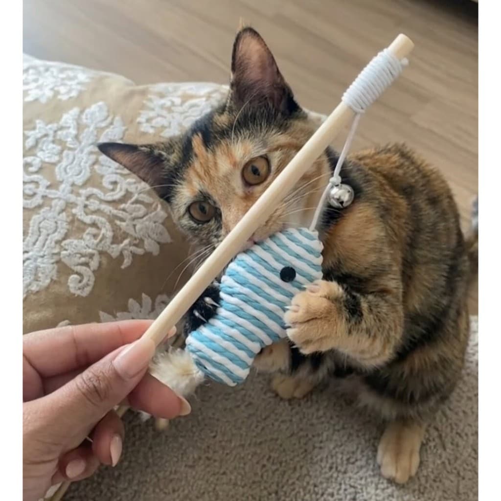 Varinha Interativa para Gatos ou 3 e 1 Un com Penas Sino e peixe Brinquedo Estímulo Caça Pet